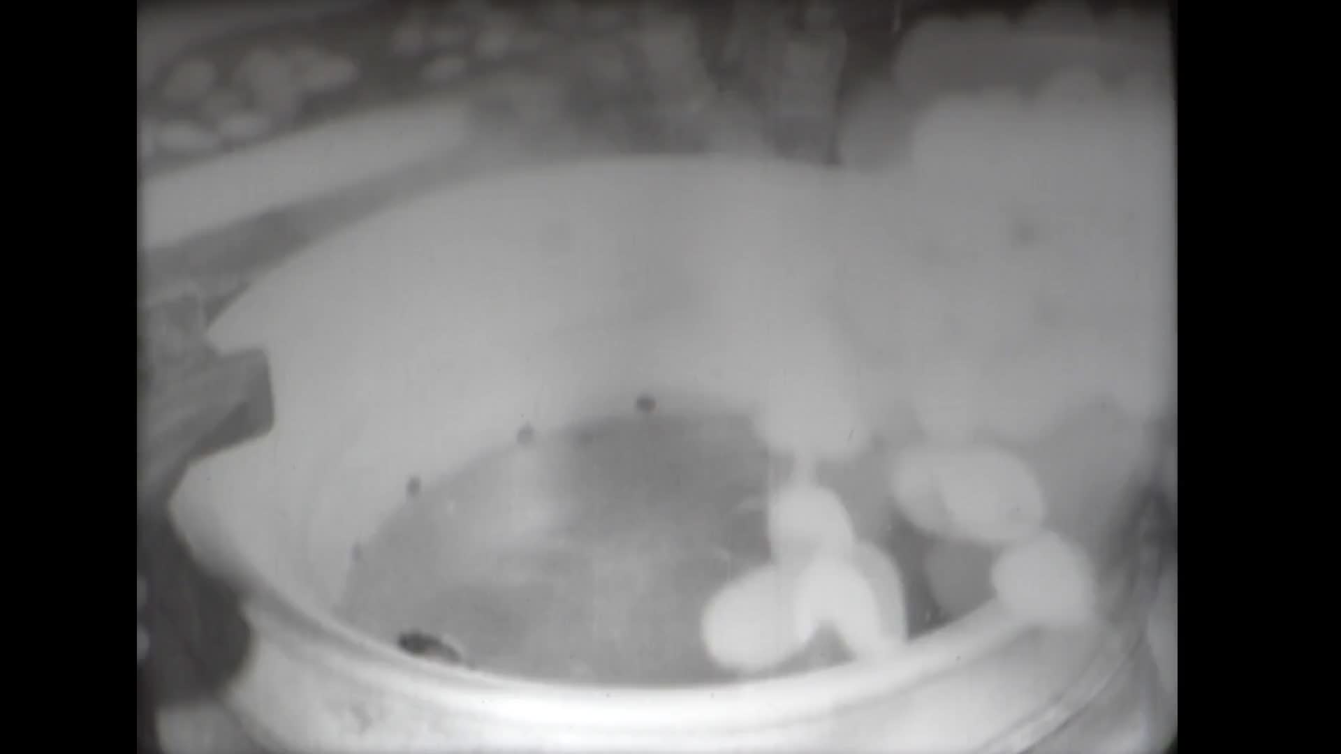 Самаркандская шелкоткацкая фабрика. За высокий урожай. Совещание механизаторов. Последователи Турсуной. Выдающейся ученый .За здоровье народа. Театр народного творчества.