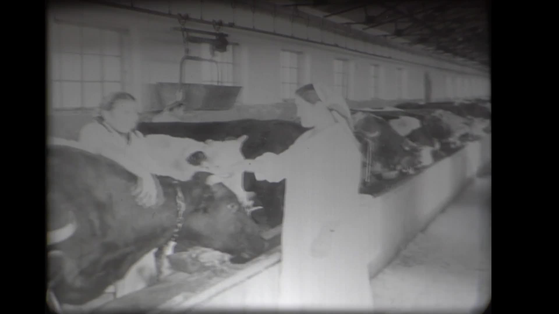 Колхозная ферма. Самаркандская чаеразвесочная фабрика. Юбилей А.П.Чехова. Вечер посвященный десятилетию Индии. Деятели азербайджанский литературы и искусства в Узбекистане. Мастер спорта Махмадали Таджиев.