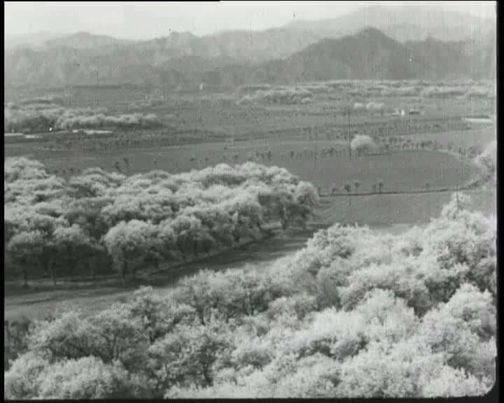 Праздник мира и труда. Стройка Тюя-Бугуза. Андижанский совхоз "Мингбулок". Сельхозартель "Октябрь". Новая квартира. Демонстрация.